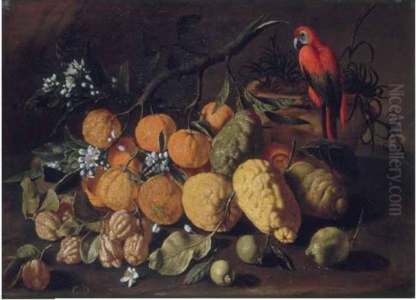 Natura Morta Di Frutta Con Limoni, Arance E Cedri - view 1