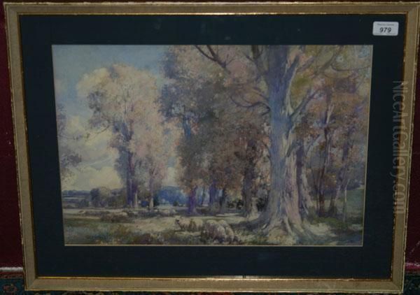 Landscape Study With Sheep Grazing Among Trees - view 1