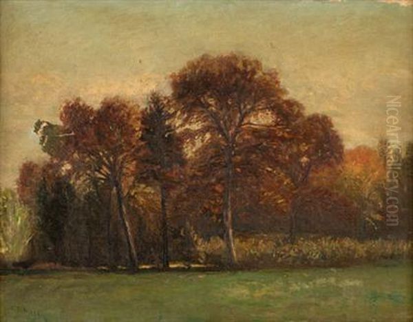 A Woodland View - view 1