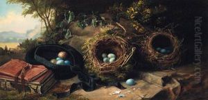 Books, A Tam O'shanter, Bird's Eggs And Nests, In A Highlandlandscape Books, A Tam O'shanter, Bird's Eggs And Nests, In A Highlandlandscape