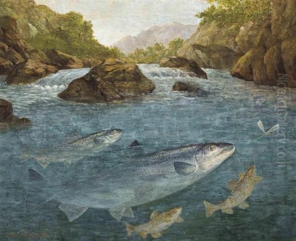 Sea-trout, Brown Trout And A Salmon Rising For A Dragonfly - view 1