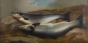Salmon On A Riverbank by John Russell