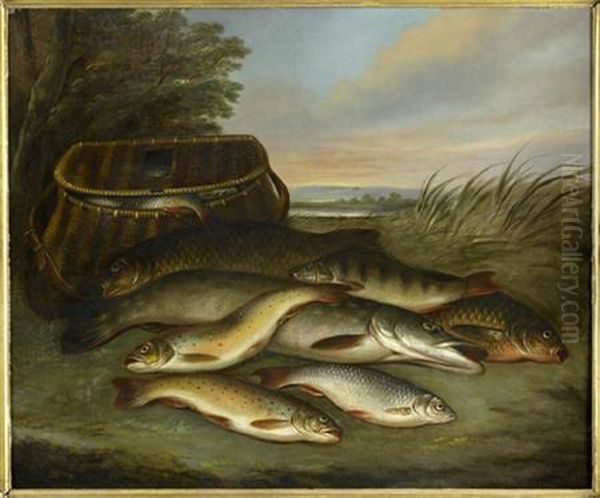 A Day's Catch - view 1