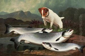 Terrier And Three Salmon Terrier And Three Salmon