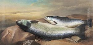 A Salmon And Trout On River Rock by John Russell
