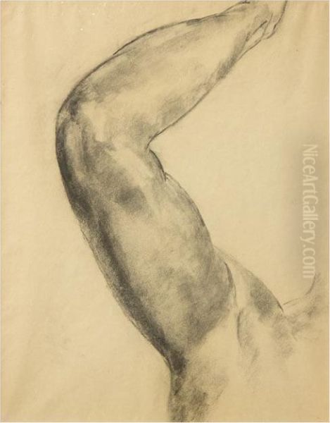 Raised Arm - view 1