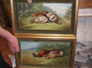 Still Lifes Of Pheasants And Partridge