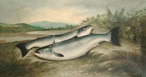 A Brace Of Hen Salmon by Dhuie Russell-Tully