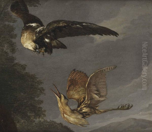 A Golden Eagle And A Bittern In Flight - view 1