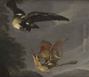 A Golden Eagle And A Bittern In Flight by Carl Borromaus Andreas Ruthart
