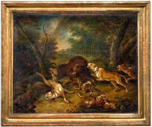 Hunde Greifen Wildschweine An