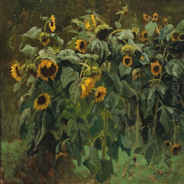 Sonnenblumen - view 1