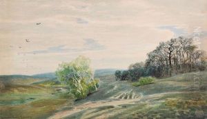 Heidelandschaft Mit Birkengruppe