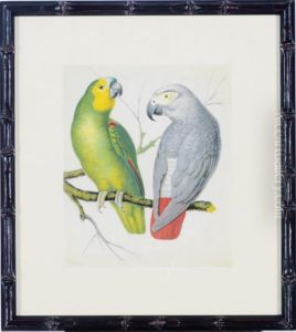 The Illustrated Book Of Canaries And Cage-birds