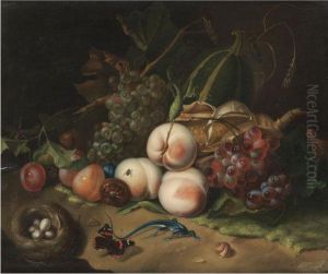 A Forest Floor Still Life