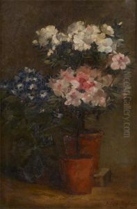 L'azalee En Fleurs