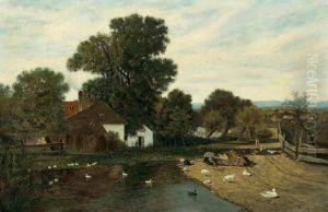 Enten Am Dorfteich Enten Am Dorfteich