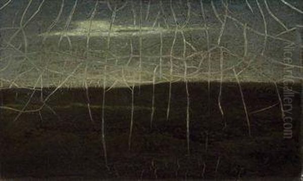 Night - view 1