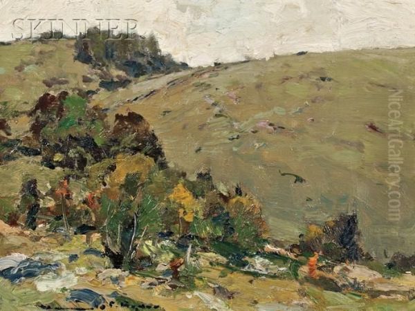 Summer Hillside - view 1