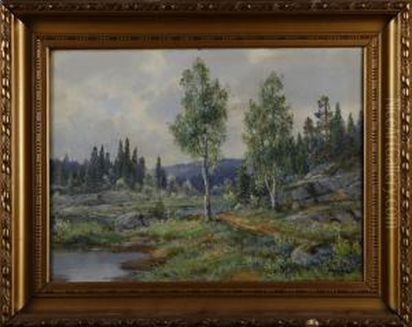 Insjolandskap - view 1