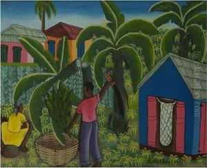 La Coupe Des Bananes A Haiti