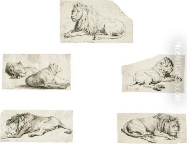 An Album Of Animal Drawings - view 1