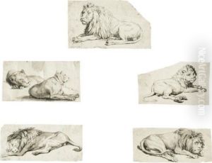 An Album Of Animal Drawings