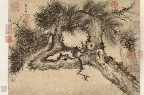 Pine Tree - view 1