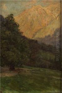 Studio Montagna (balme) by Cesare Saccaggi
