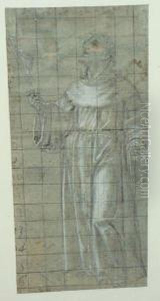 Saint-bernard - view 1