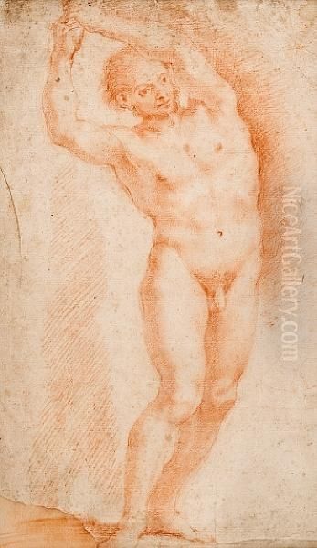 Male Nude Study - view 1