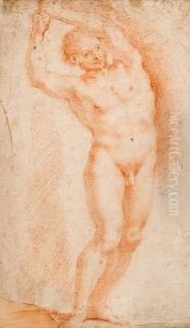 Male Nude Study by Andrea Sacchi