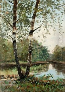 Sommarbjorkar