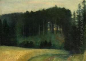 A Forest by Augustin Sagner