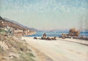 Hirte Mit Truffelschweinen In Mediterraner Landschaft