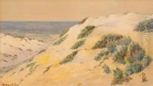 California Sand Dunes by Norman Saint-Clair