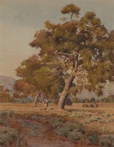 Trees Near Santa Barbara by Norman Saint-Clair