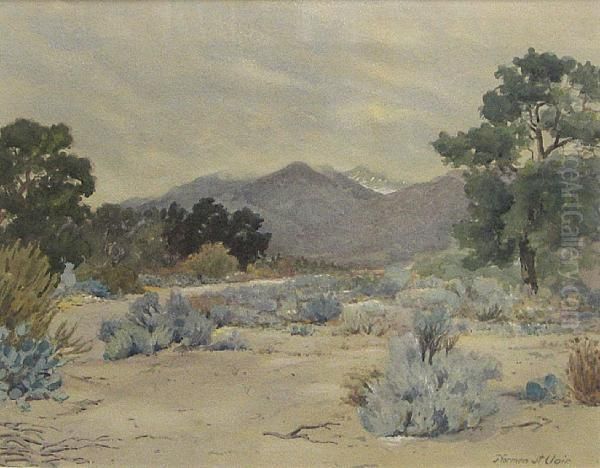 Arroyo Seco - view 1