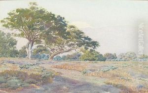 Oak Knoll, Tournament Park, Pasadena by Norman Saint-Clair