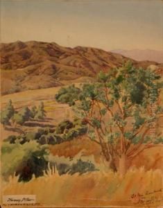 California Hillside California Hillside