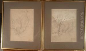 Le Vallon Et Le Sous-bois by Jean Aime Saint-Cyr Girier