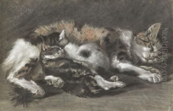 Chatte Et Ses Petits Endormis - view 1