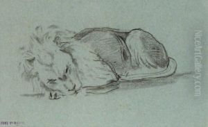 Lion Couche