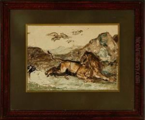 A Lion Laying In The Mountains