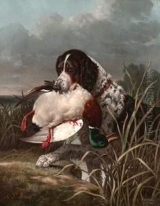 < Retriever Et Canard >. < Retriever Et Canard >.