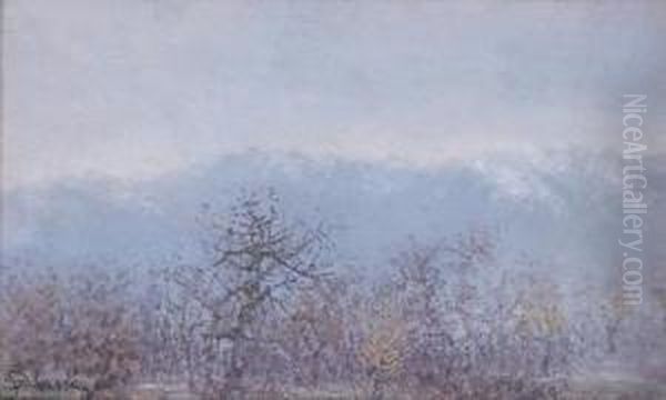 Serenita Autunnale - view 1
