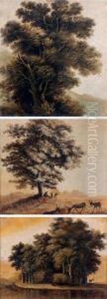 Arbre, Fragment - view 1
