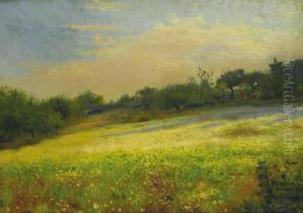 Paisaje - view 1