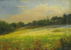 Paisaje by Ernesto Sales De Las Casas