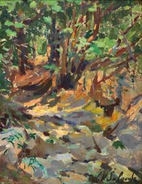 Caminho De Floresta - view 1